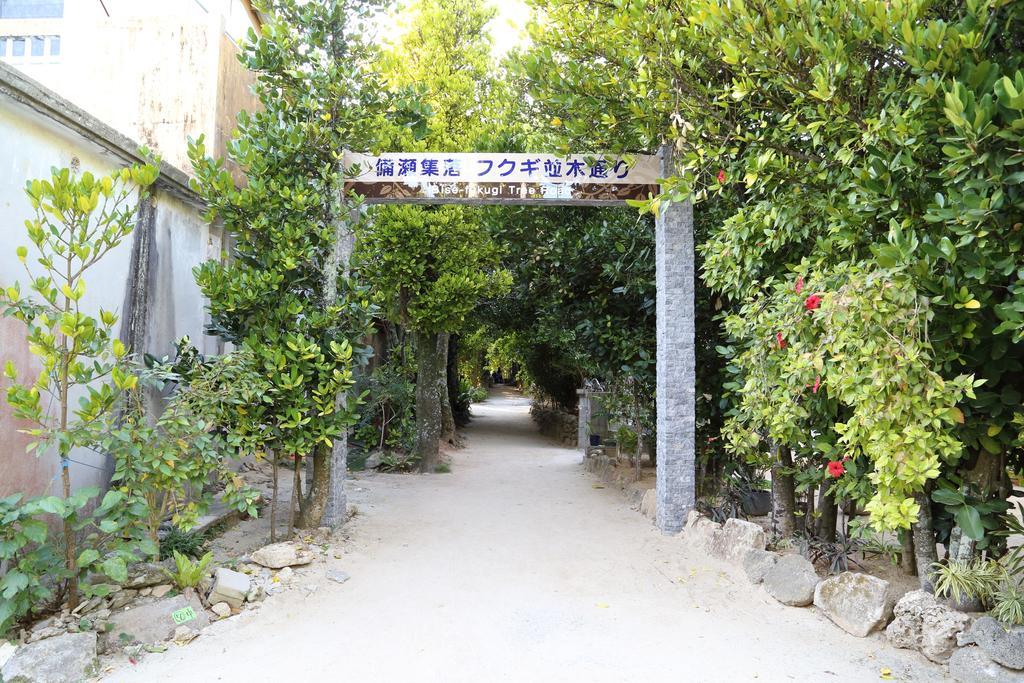 Tabinoteitaku Okinawa Bise Homann Concept Villa Motobu Exterior foto
